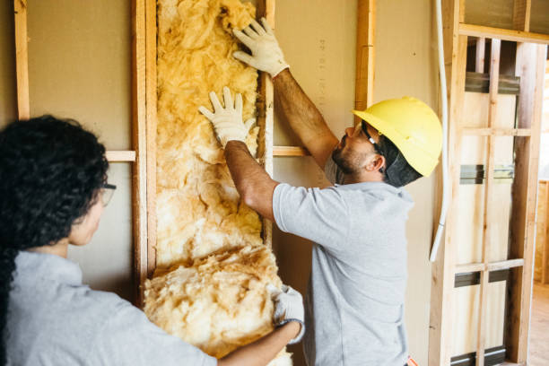Best Insulation Replacement Services  in Jessup, PA